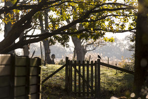 Photo 6- click for photo gallery